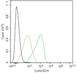 Cyclin E2 Antibody in Flow Cytometry (Flow)