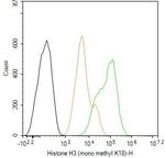 H3K18me1 Antibody in Flow Cytometry (Flow)