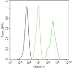 HMGB1 Antibody in Flow Cytometry (Flow)