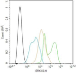 ERK1/2 Antibody in Flow Cytometry (Flow)