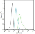 GAPDH Antibody in Flow Cytometry (Flow)