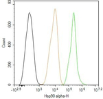 HSP90 alpha Antibody in Flow Cytometry (Flow)
