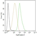 HSP90 alpha Antibody in Flow Cytometry (Flow)