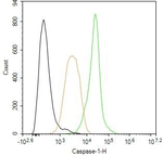 Caspase 1 Antibody in Flow Cytometry (Flow)