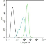 Collagen I Antibody in Flow Cytometry (Flow)