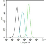 Collagen I Antibody in Flow Cytometry (Flow)