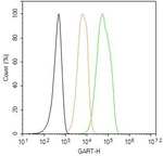 GART Antibody in Flow Cytometry (Flow)