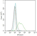 MTCO2 Antibody in Flow Cytometry (Flow)