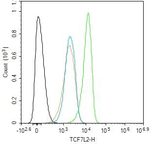 TCF7L2 Antibody in Flow Cytometry (Flow)