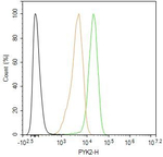 PYK2 Antibody in Flow Cytometry (Flow)