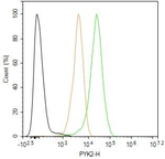 PYK2 Antibody in Flow Cytometry (Flow)