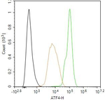 ATF4 Antibody in Flow Cytometry (Flow)