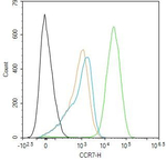 CCR7 Antibody in Flow Cytometry (Flow)