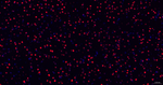 TDP-43 Antibody in Immunohistochemistry (Paraffin) (IHC (P))