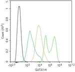 GATA1 Antibody in Flow Cytometry (Flow)