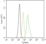 TGFBI Antibody in Flow Cytometry (Flow)