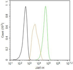 JAK1 Antibody in Flow Cytometry (Flow)