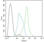 TLR2 Antibody in Flow Cytometry (Flow)