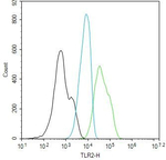 TLR2 Recombinant Rabbit Monoclonal Antibody (3A27)