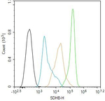 SDHB Antibody in Flow Cytometry (Flow)
