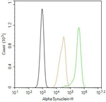 alpha Synuclein Antibody in Flow Cytometry (Flow)