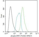 Phospho-ERK1/ERK2 (Thr202, Thr185) Antibody in Flow Cytometry (Flow)