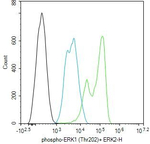 Phospho-ERK1/ERK2 (Thr202, Thr185) Antibody in Flow Cytometry (Flow)
