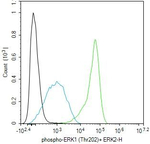 Phospho-ERK1/ERK2 (Thr202, Thr185) Antibody in Flow Cytometry (Flow)