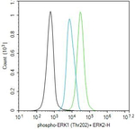 Phospho-ERK1/ERK2 (Thr202, Thr185) Antibody in Flow Cytometry (Flow)