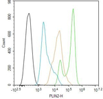 ADFP Antibody in Flow Cytometry (Flow)