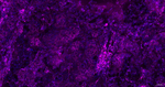 CD44 Antibody in Immunohistochemistry (Paraffin) (IHC (P))