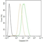 pro-Caspase 3 Antibody in Flow Cytometry (Flow)