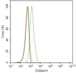 S100A4 Antibody in Flow Cytometry (Flow)