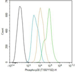 Phospho-p38 MAPK alpha (Thr180, Tyr182) Antibody in Flow Cytometry (Flow)