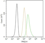PMS2 Antibody in Flow Cytometry (Flow)