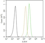 IL-18 Antibody in Flow Cytometry (Flow)