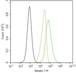 Cytokeratin 7 Antibody in Flow Cytometry (Flow)