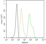 MSH6 Antibody in Flow Cytometry (Flow)