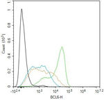 BCL6 Antibody in Flow Cytometry (Flow)