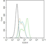 ICOS Antibody in Flow Cytometry (Flow)