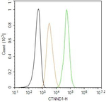 delta Catenin Antibody in Flow Cytometry (Flow)