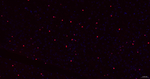 SOX10 Antibody in Immunohistochemistry (Paraffin) (IHC (P))