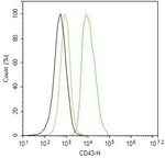 CD43 Recombinant Rabbit Monoclonal Antibody (H6G11)