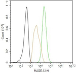 MAGE1 Antibody in Flow Cytometry (Flow)