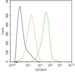 CD134 Antibody in Flow Cytometry (Flow)
