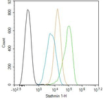 Stathmin 1 Antibody in Flow Cytometry (Flow)