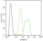 STING Antibody in Flow Cytometry (Flow)