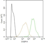 S100P Antibody in Flow Cytometry (Flow)