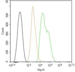 HIP Antibody in Flow Cytometry (Flow)
