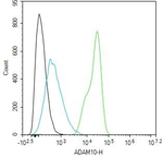 ADAM10 Antibody in Flow Cytometry (Flow)